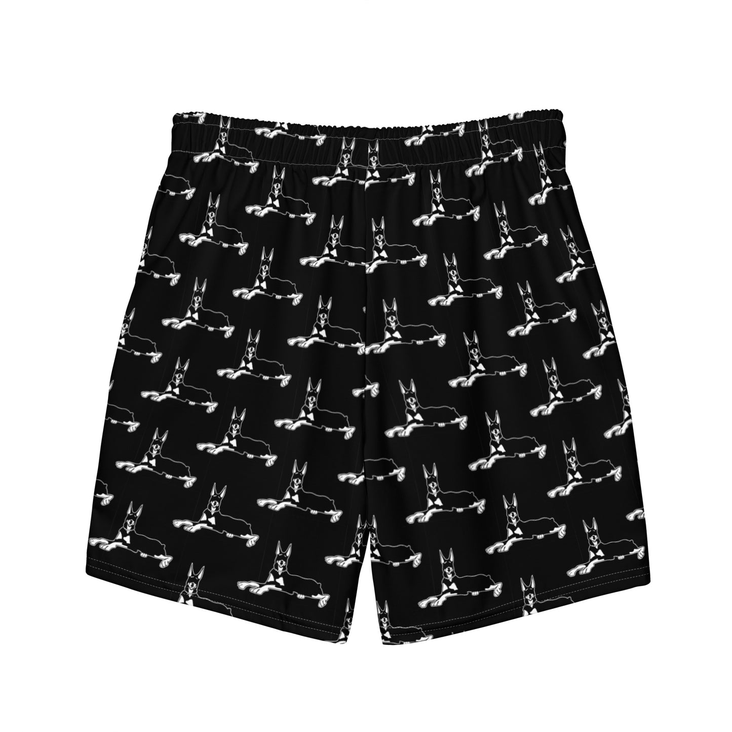 Saint Augustine "Clásico" Trunks